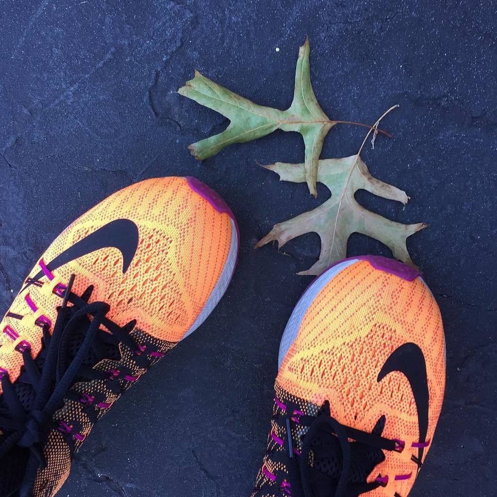teachmama's tweet photo. nothing like starting the day with a good long run
#therapy #sanityrun #fallishere #wahm https://t.co/irGPsotC97 https://t.co/aC8ni7AZTq