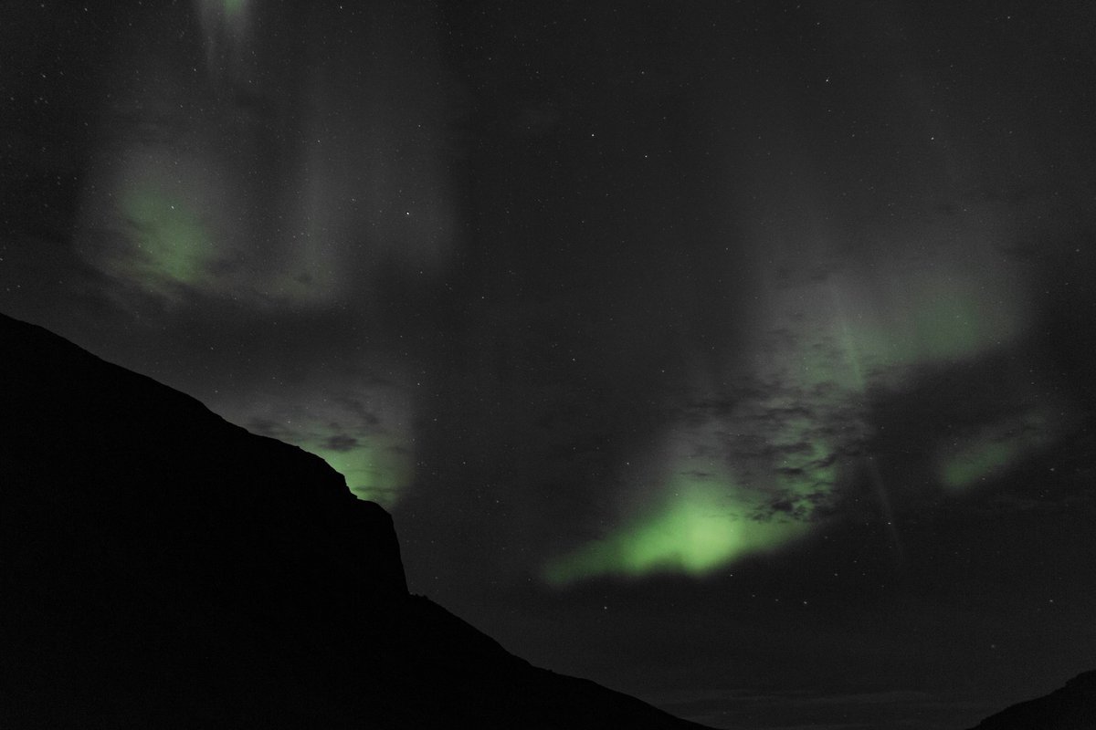 xploremo's tweet photo. @AURORAmusic Under The Stars, #northernlights  in #greenland listening to Aurora https://t.co/gwZVuwtGA0