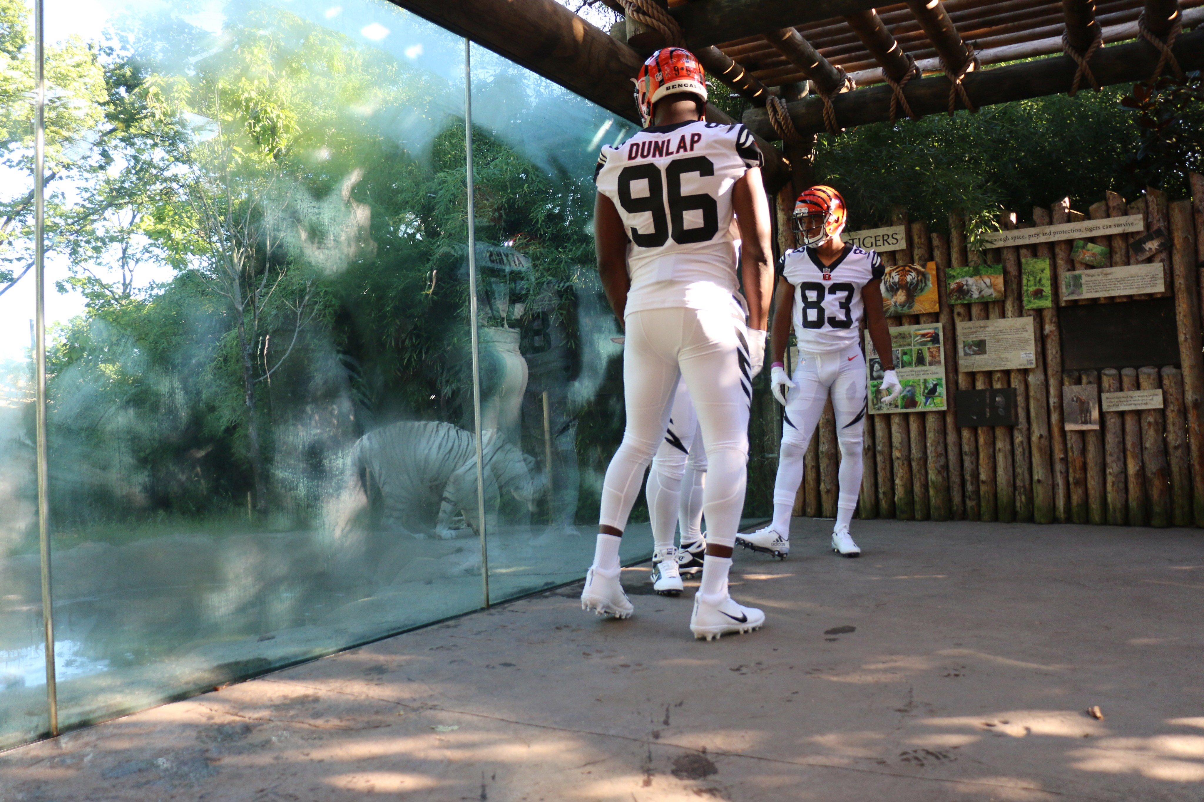 Cincinnati Bengals on X