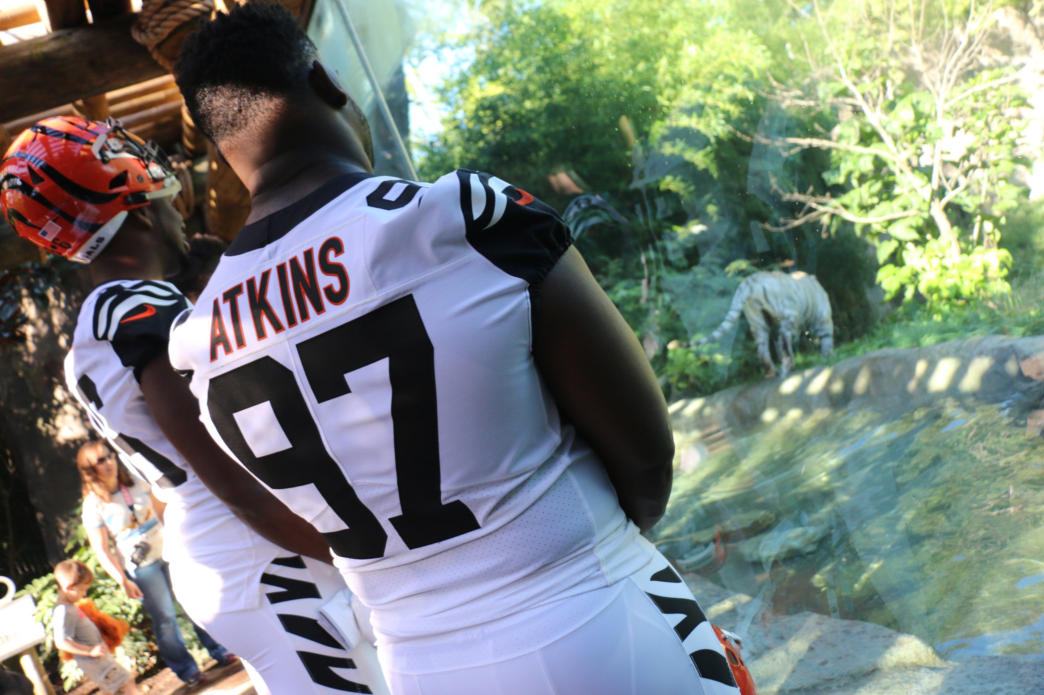 Cincinnati Bengals on X