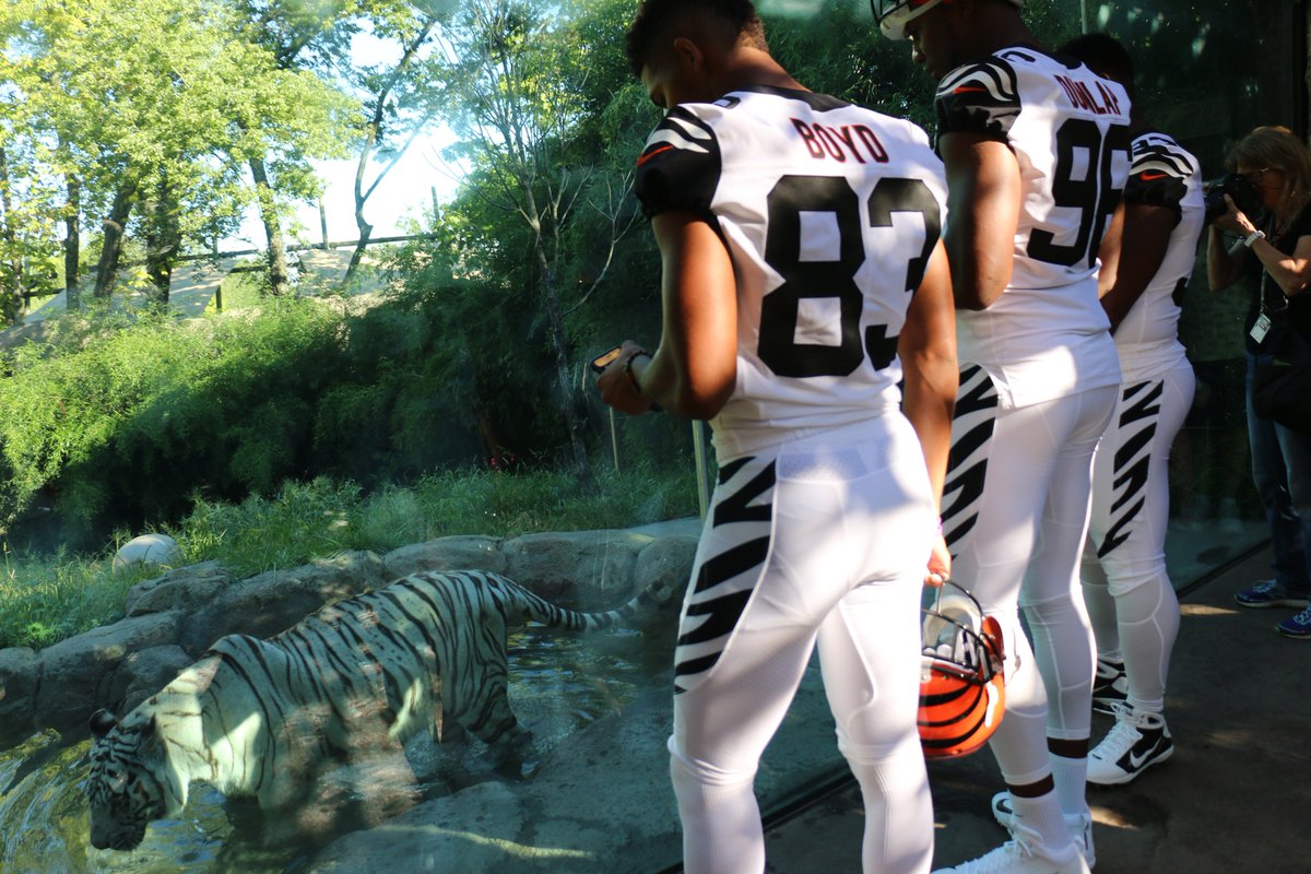 bengals jersey colors