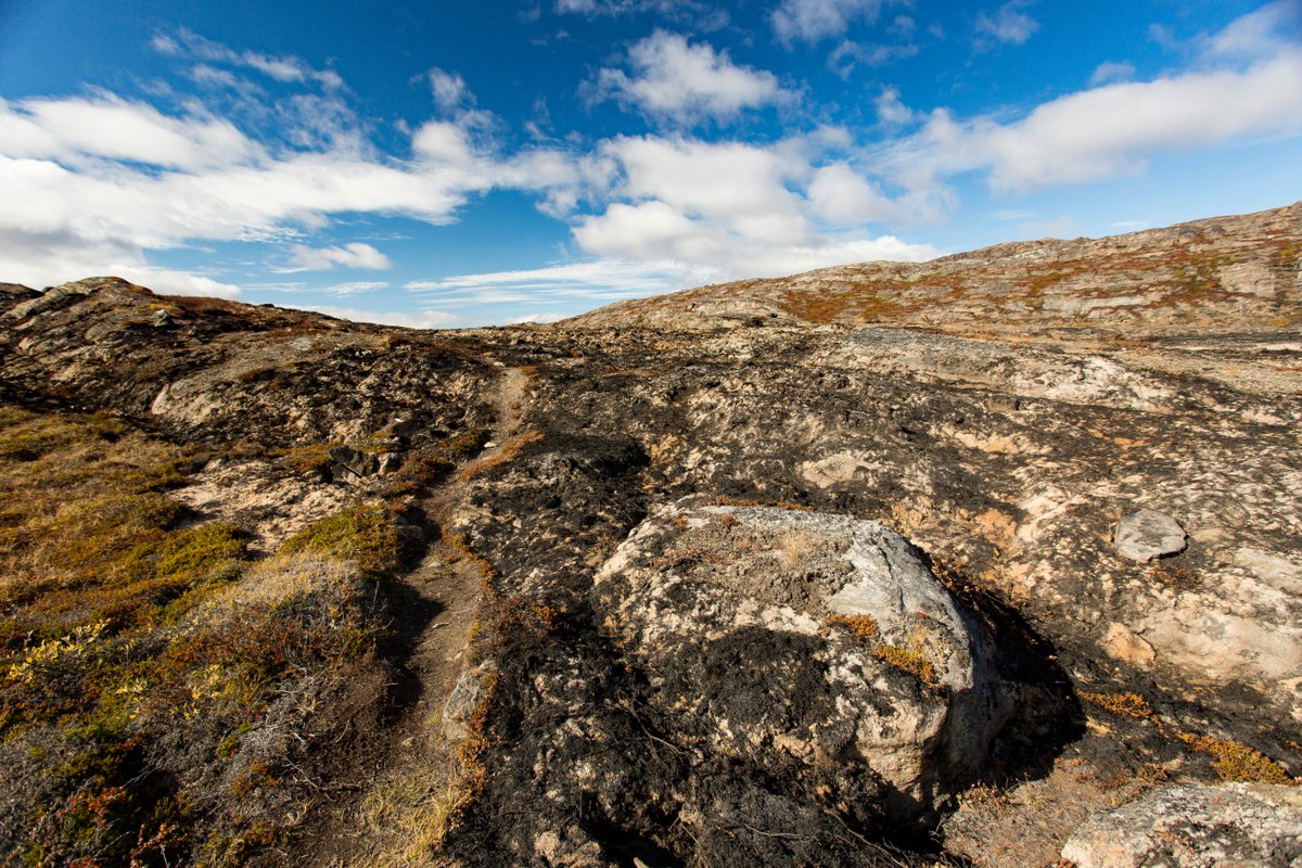 xploremo's tweet photo. Hottest August on record, even in Greenland. Tundra fires. #GlobalWarming https://t.co/qMJU4kH6tz