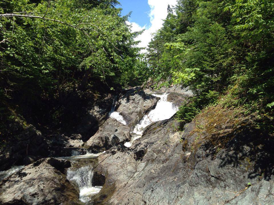 Cape Breton’s greatest, oddest, tastiest, funnest things everyone should do bit.ly/2c3ywr2