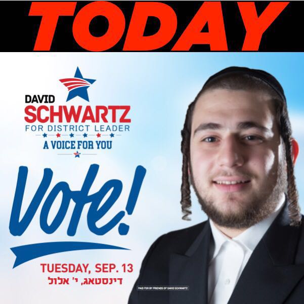 ZishaRubin's tweet photo. If you live in the 48th Assembly District, please GO AND VOTE for DAVID SCHWARTZ for District Leader. #AVoiceForYou https://t.co/cUc0FWrO6b