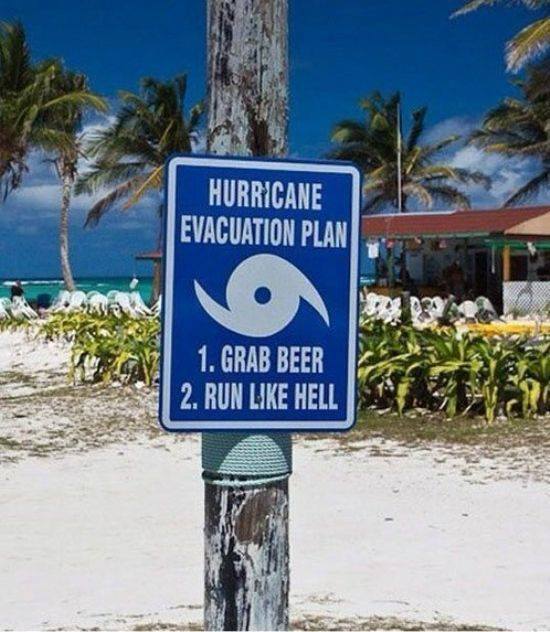SteveStiffIer's tweet photo. My kinda plan https://t.co/EmKfGAJj9V
