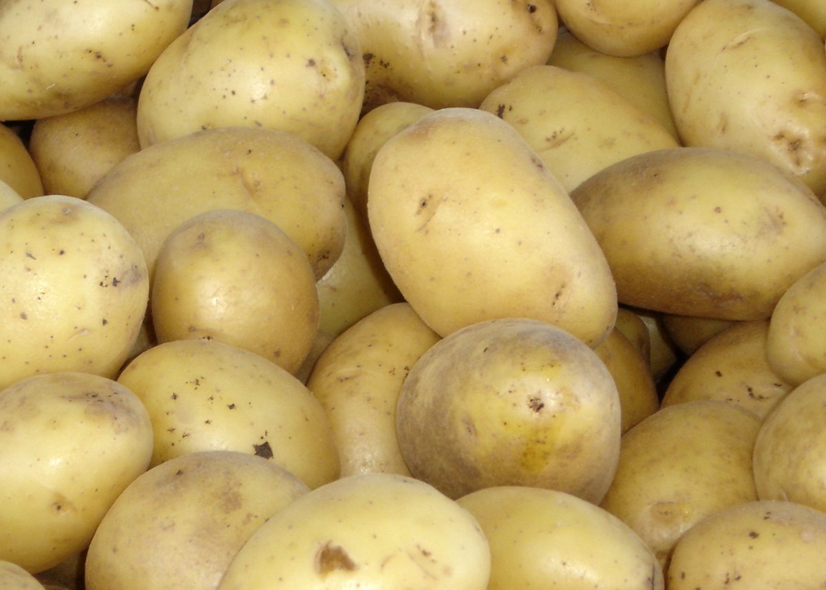 agriculturaar's tweet photo. #AgroDato En Argentina se cosecha el 22,4% de la producción total de papas del Mercosur. https://t.co/HHKOhtTQRE