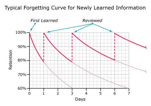 frenchfluency's tweet photo. Important considerations about learning and forgetting. A good read https://t.co/E8vGRtffOv https://t.co/BUeuoDCq1U