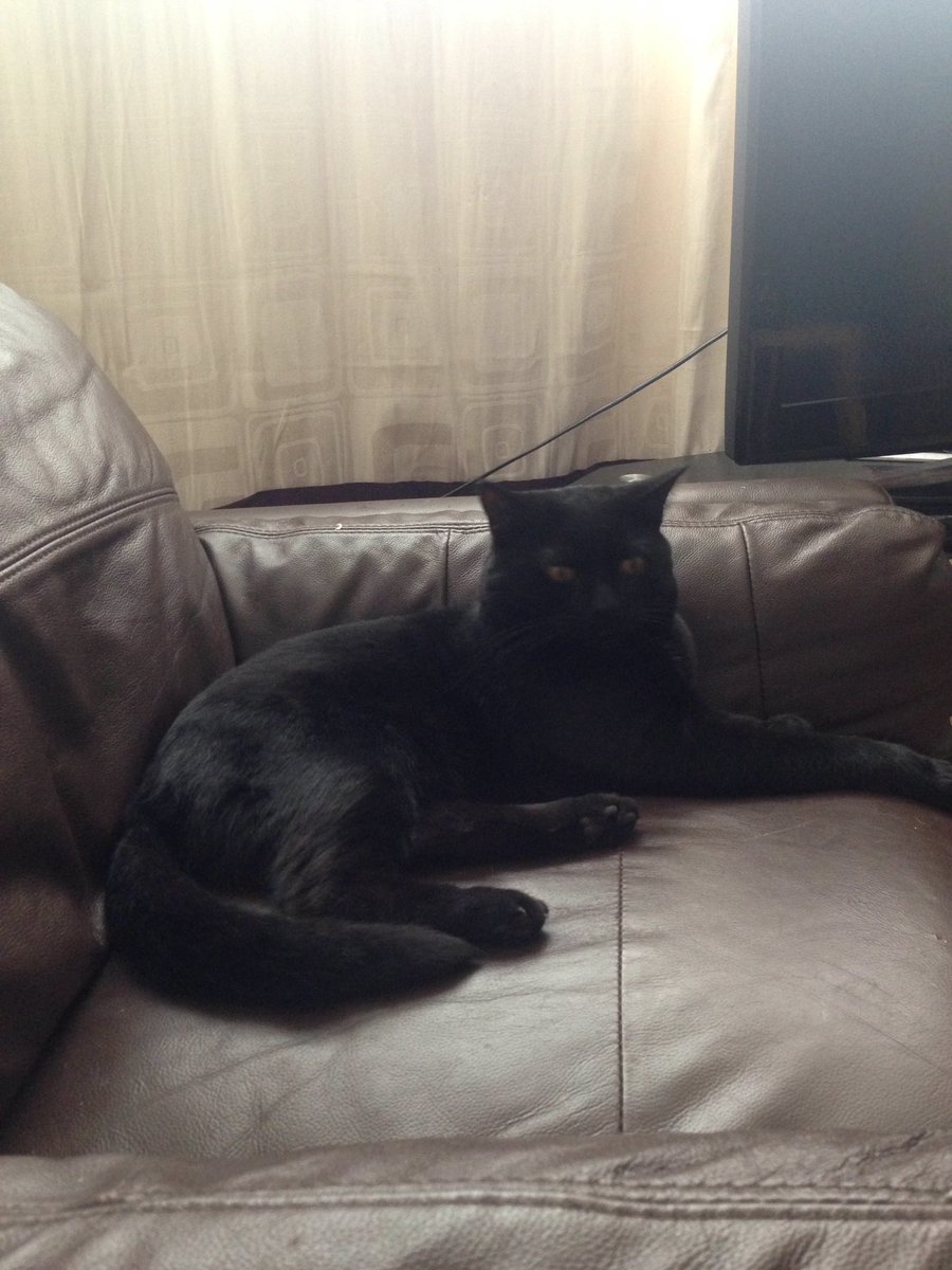 Emmainia's tweet photo. This boy is just Chillin' #ilikehisstyle #Ashford https://t.co/tz7XXWsOCx