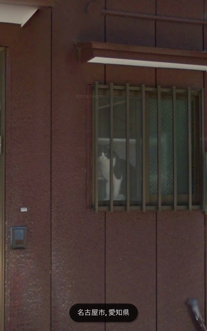 Googleストリートビュー に映った スルーできない光景 Matomehub まとめハブ