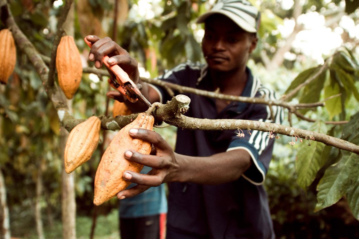 EasternCongo tweet picture