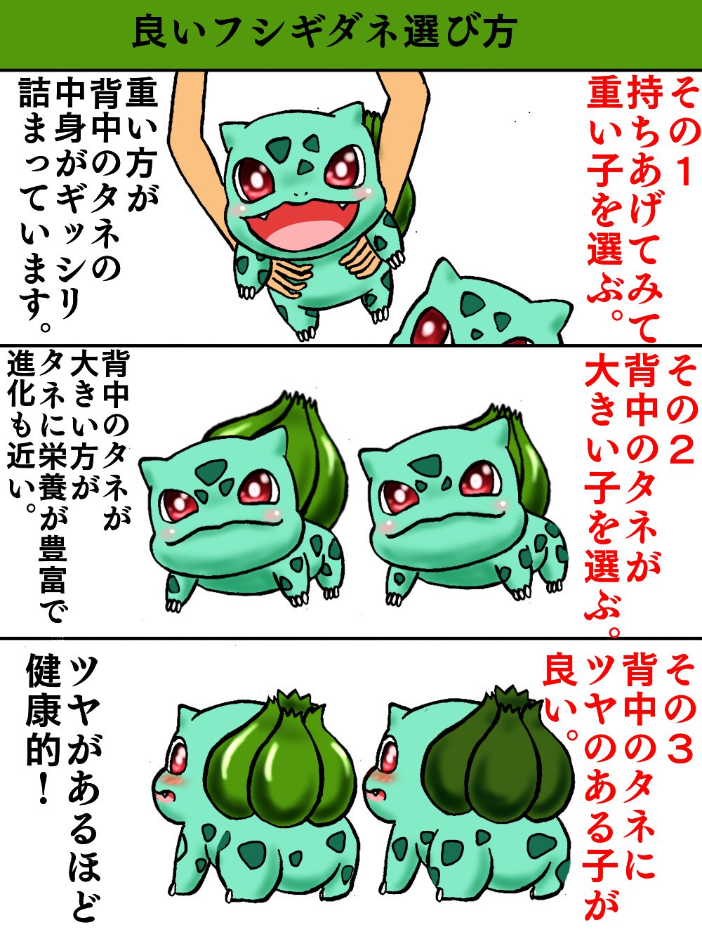 コブチャンチン Ar Twitter 良いフシギダネの選び方 妄想 フシギダネたまらんコブ ポケモン フシギダネ コブチャンチン Ar Twitter 良いフシギダネの選び方 妄想 フシギダネたまらんコブ ポケモン フシギダネ