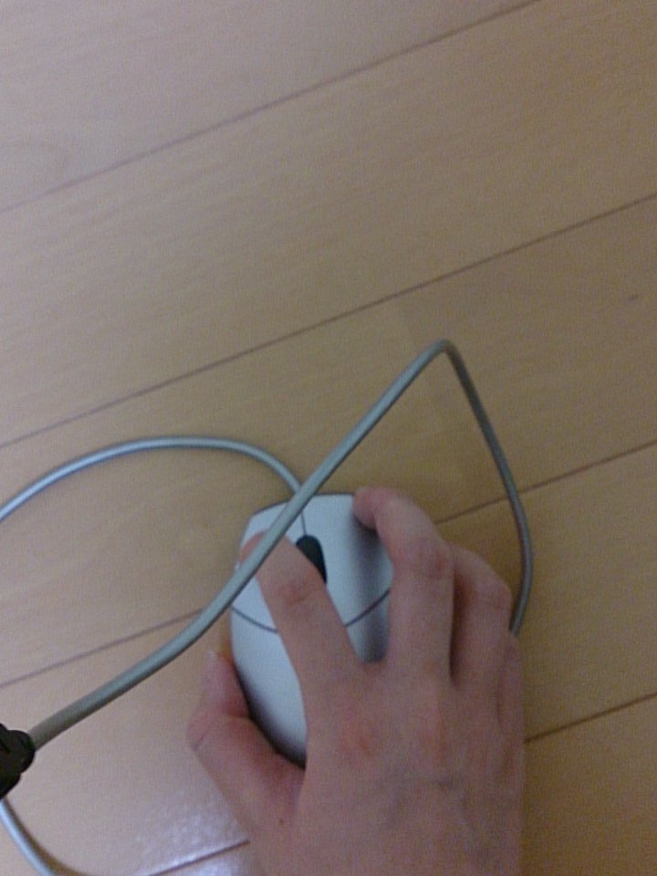 mogmogdo's tweet photo. @m9_9mw 
うん頑張る(  ˙-˙  )
復活っていうかとりあえず開けた的な？笑
マウスと繋いでる笑 https://t.co/cI2LZafZne