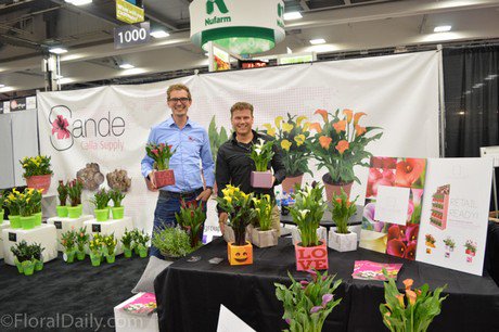 Sande Holland en PlentyPlants lanceren “GreenCubez” bpnieuws.nl/artikel/7129/S…