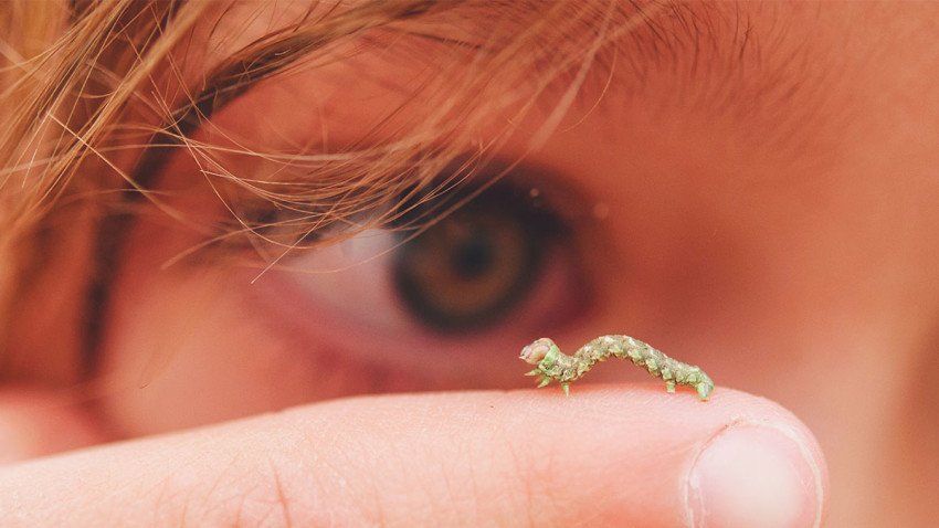 Evan McGowan-Watson tweet media