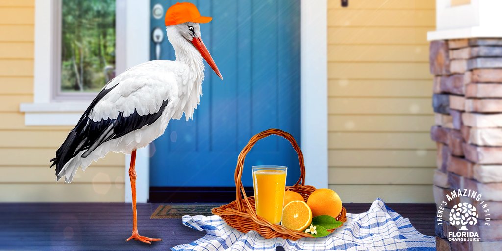 OJfromFlorida's tweet photo. If you're expecting a delivery from the stork, have a daily glass of #FLOJ, a natural source of folate. #Amazing5 https://t.co/InSgt8e3Xc