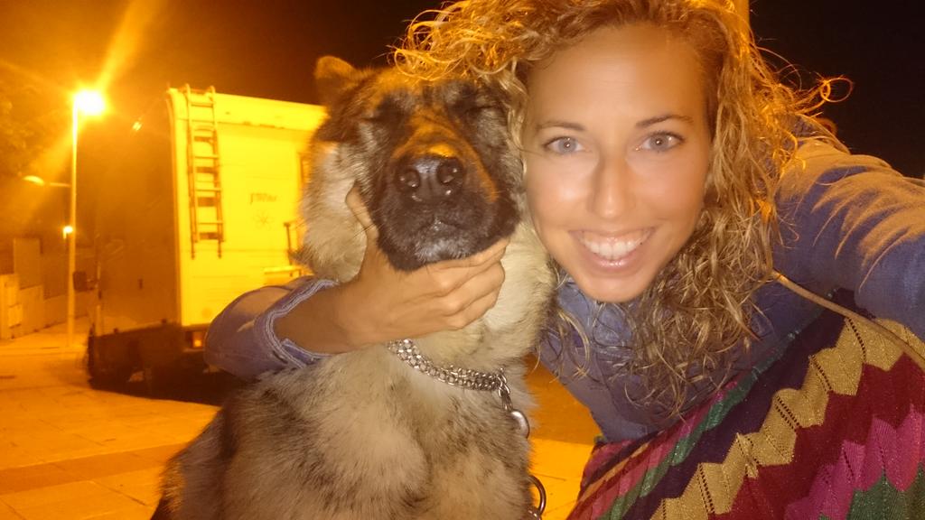 Alma_Pachon's tweet photo. A Duna no le gustan los #selfie 😂😂 #PastorAleman #GermanShepherd 😍😍 Hermana perruna. https://t.co/oJnhzPxhT5