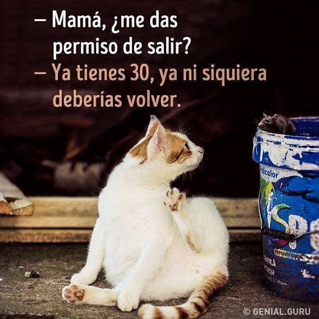 BebesYPanales's tweet photo. Jajajaja...para el futuro... https://t.co/RClCV18X7l