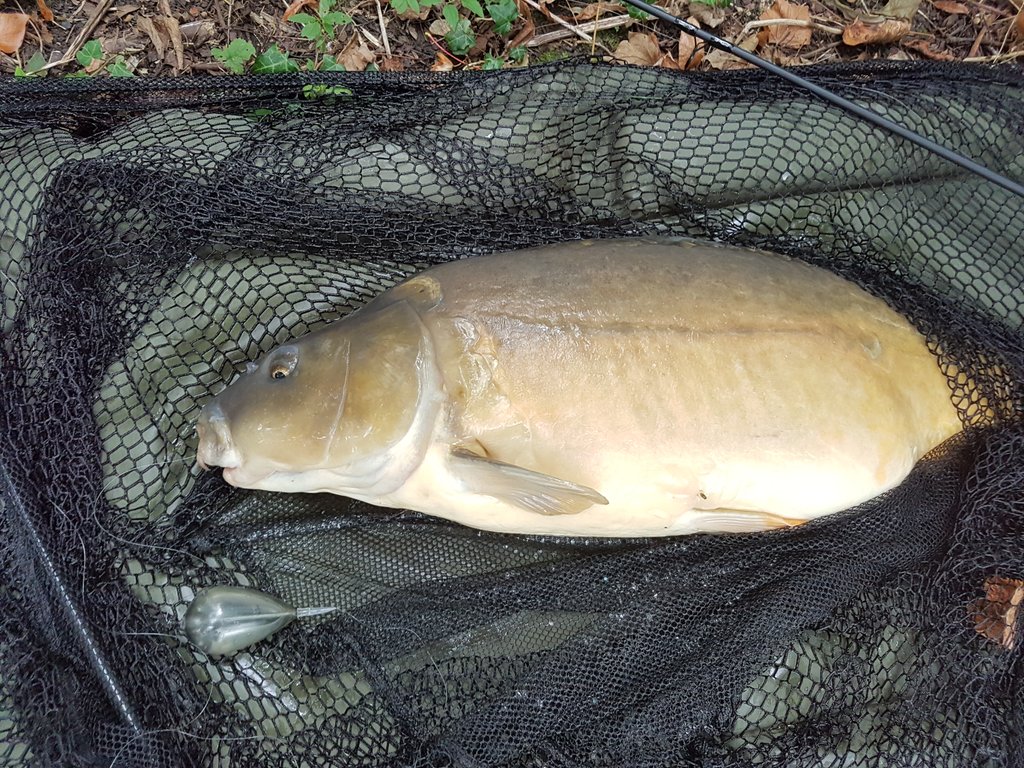 Love taking them of the top.