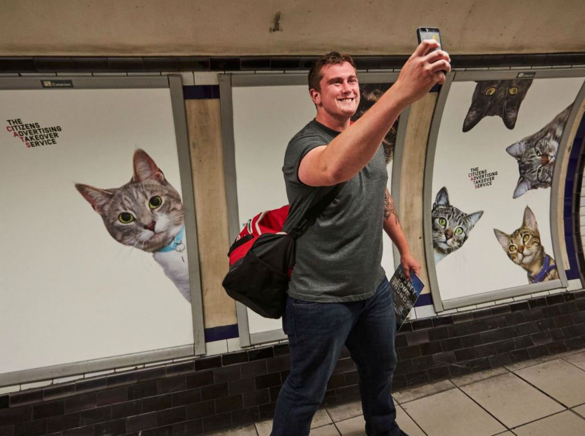indy100's tweet photo. Londonders got so fed up with adverts on the Tube they covered them in cats    https://t.co/BLO7J8x71S https://t.co/OZzDYZ3drF