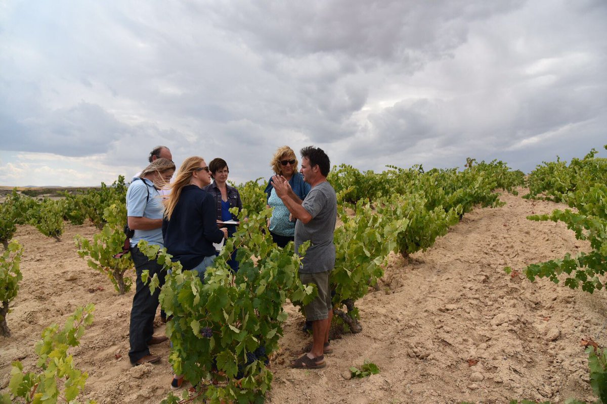 Periodistas e influencers holandeses en la bodega <a href="/KiriosdeAdrada/">Adrada Bodega y Viñedos</a> catando sus vinos ecológicos