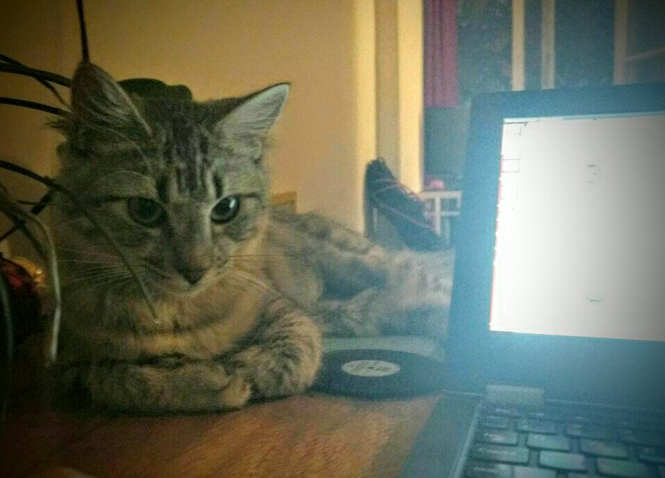 CodingRightsCat's tweet image. Mis humanos d @codingrights estan felizes pq lanzaron esto antivigilancia.org/pt/boletim-14-… Quien entiende felicidad humana..