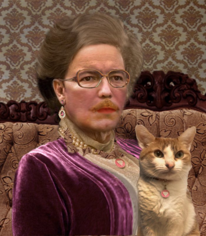 .<a href="/rubenblades/">Rubén Blades</a> said I'd be in his gig. I thought I was going to #PuertoRico 2. Not this! <a href="/PRTourismCo/">PR Tourism Company</a> #CatsOfTwitter