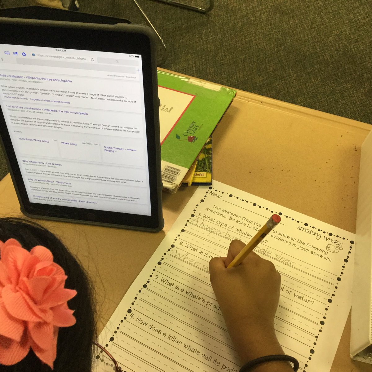 mccall_heidi's tweet photo. Researching/using evidence from close read to learn about whales.@Supt_LCSS@sukaratana_lcss  @crocker_lcss https://t.co/xmnhice6nb