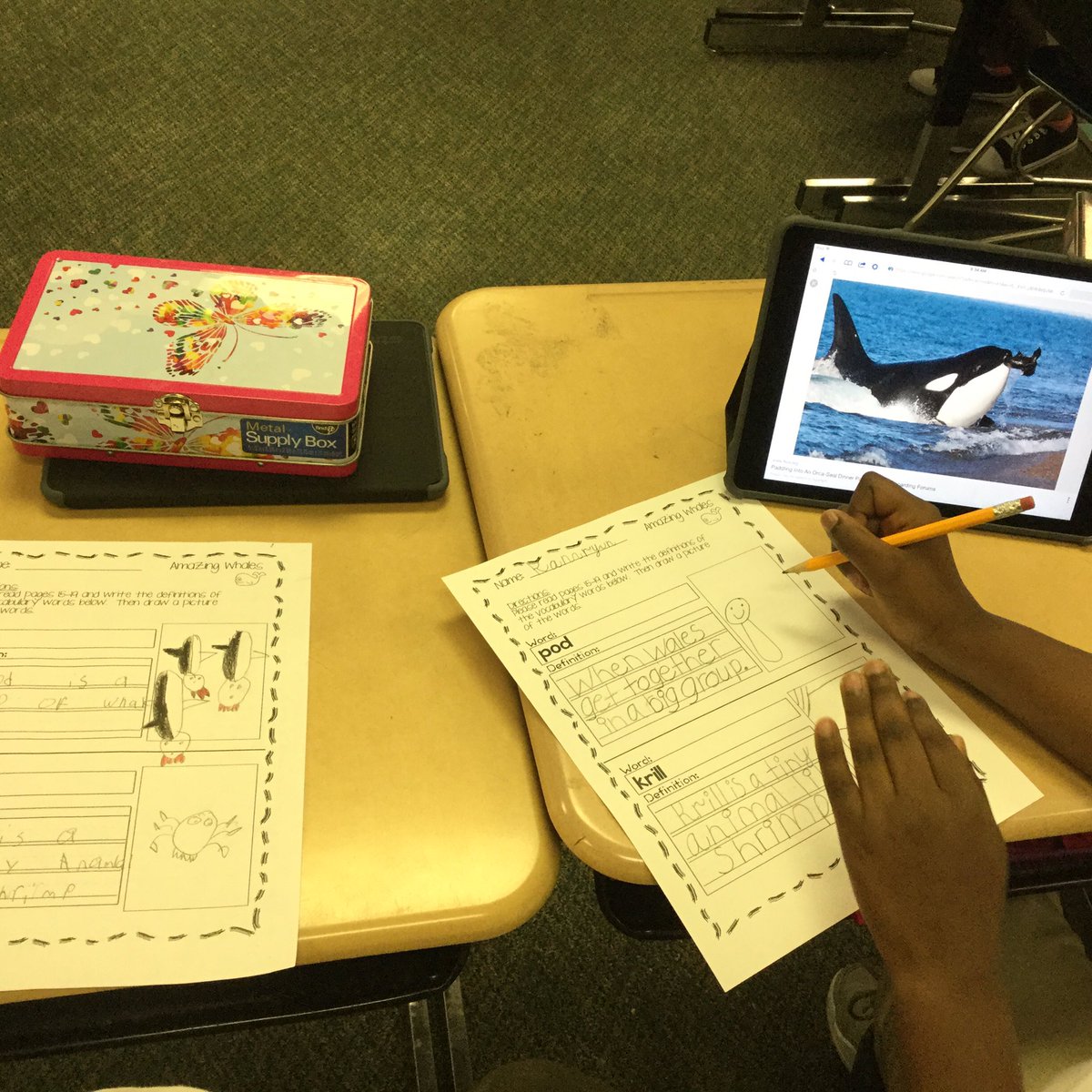 mccall_heidi's tweet photo. Researching/using evidence from close read to learn about whales.@Supt_LCSS@sukaratana_lcss  @crocker_lcss https://t.co/xmnhice6nb