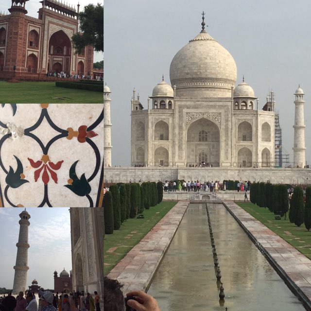 WhittakerTravel's tweet photo. The TAJ MAHAL! One of the 7 wonders of the world. THE sight to see in India. Our 2nd day in Agra. #whittakertravel … https://t.co/Eh84DjdAX5