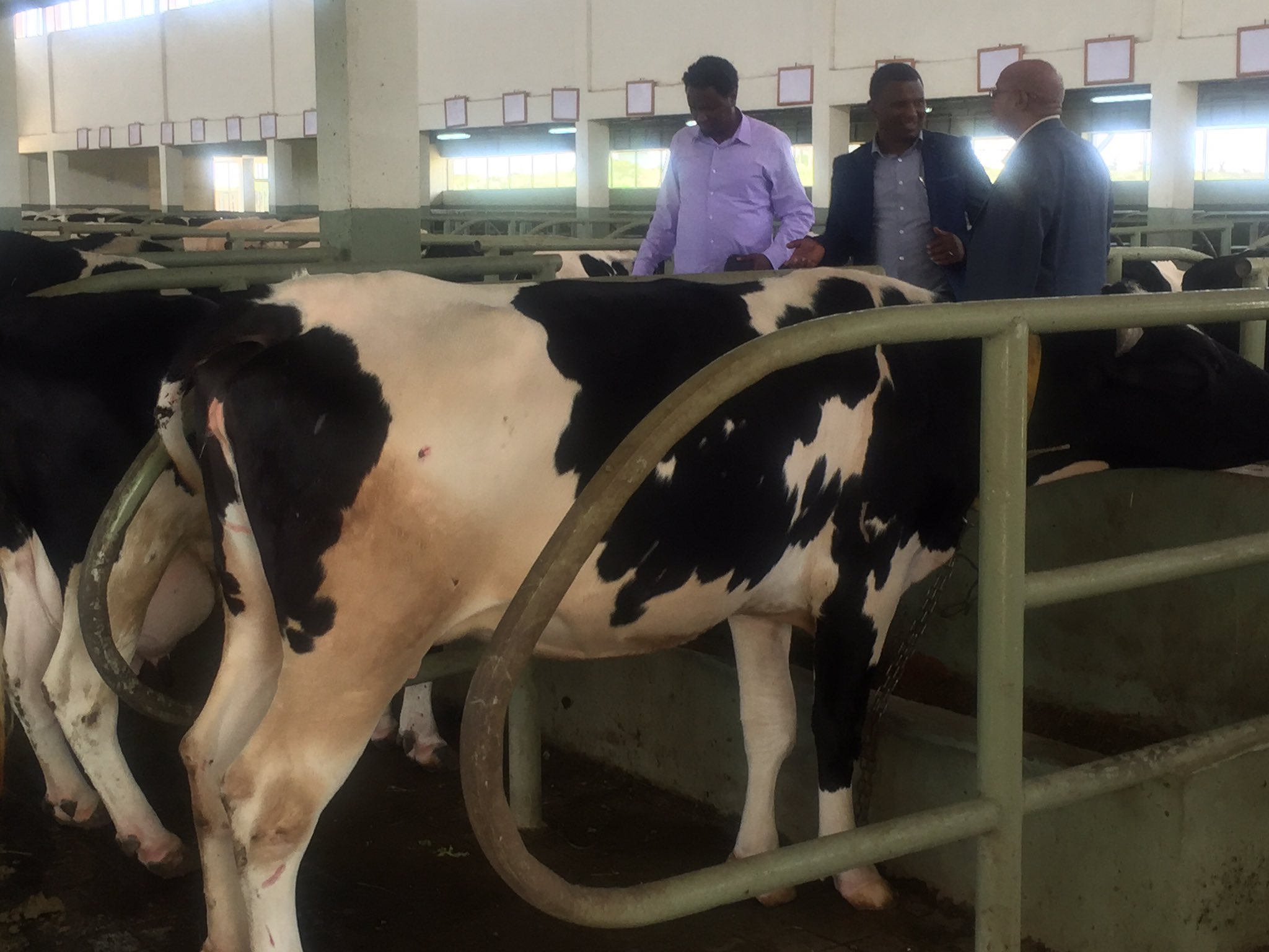 Kindeya G Hiwot Prof On Twitter Amb Abadi Zemo Visits Kalamino Vetrinary Mekunieth Impressed By Changes Commitment Of Staff