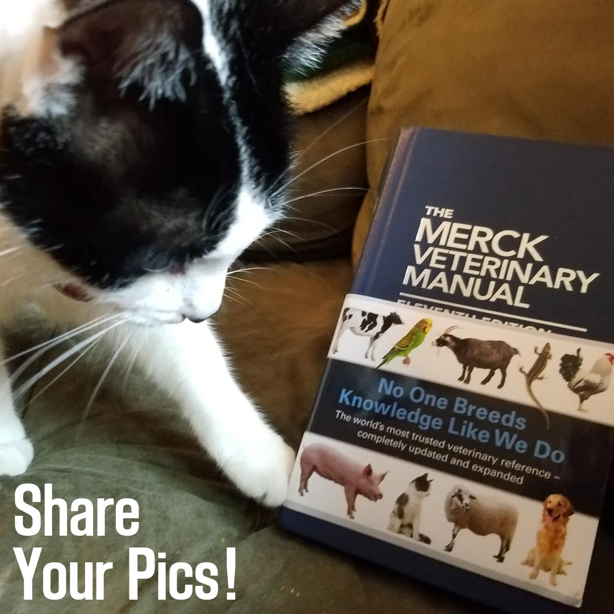 Merck Vet Manual on Twitter: "Share a pic of your MVM using #MVM11 for a chance to win an 11th ed & to be featured! Rules: https://t.co/9cb3Om2Uos… "