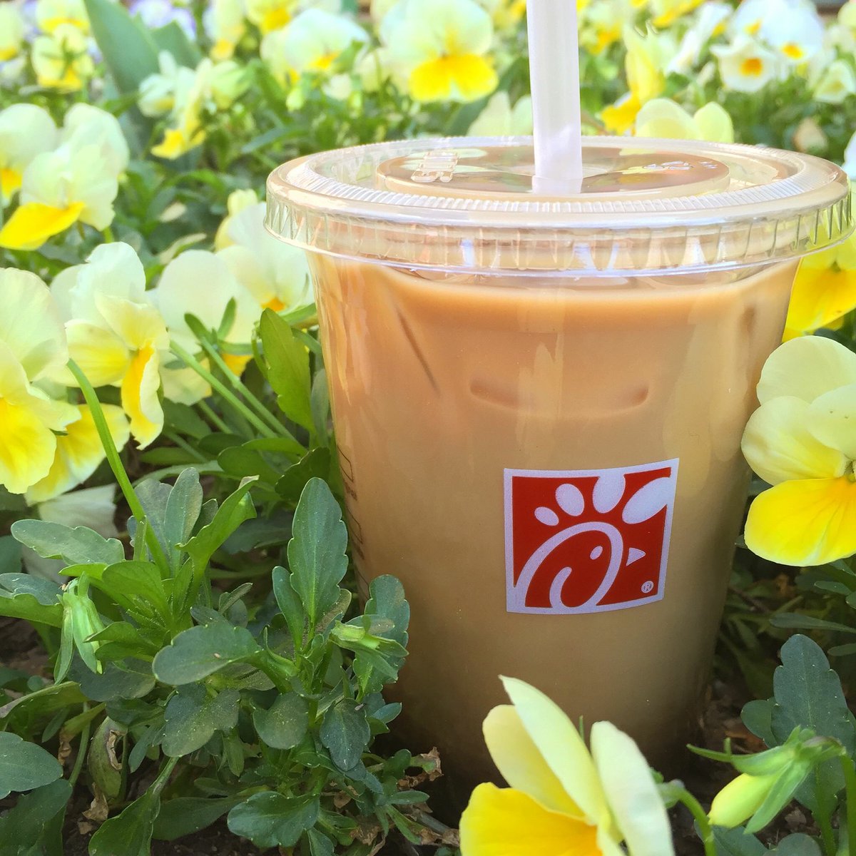 Looks like a great day for an Iced Coffee at Chick-fil-A 🌤