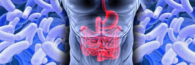 pbelichard's tweet photo. Les #bactéries intestinales influencent les allergies alimentaires #microbiome @SEIPAQuebec https://t.co/RCFRG35BLa https://t.co/6JtpN7BYHw