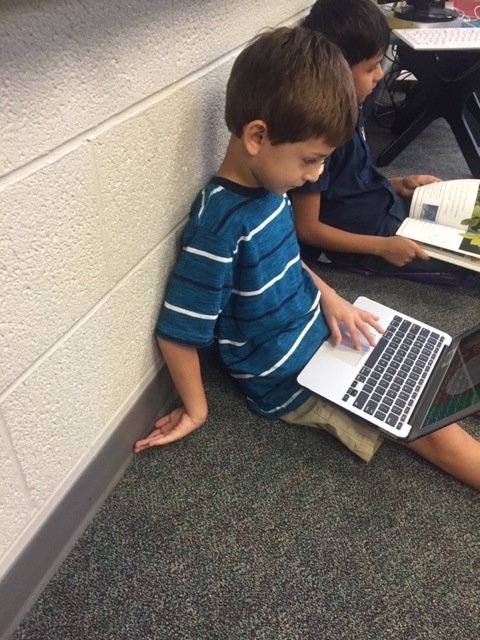 sholliday141's tweet photo. Many ways we can read in our classroom!
@ireDCSD https://t.co/DV64TXUcaM