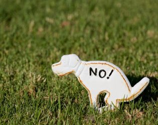 GetLeashed's tweet photo. Dog poo detectives? How DNA testing may be used to identify those who don't stoop &amp; scoop: https://t.co/nRk59knAgQ https://t.co/cqKfubYMzu