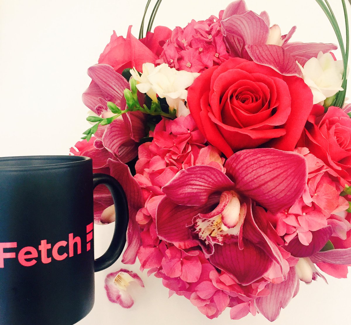 melinaex's tweet photo. Thank you, @dentsuaegis - what a wonderful surprise and in @WeAreFetch colours too! #awnyGenNext @_AWNY https://t.co/55hzrA67JN