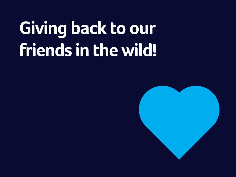 For every customer we sign up, we donate £5 to our charity partner <a href="/YWPFoundation/">YWPFoundation</a> to raise money for Project Polar!