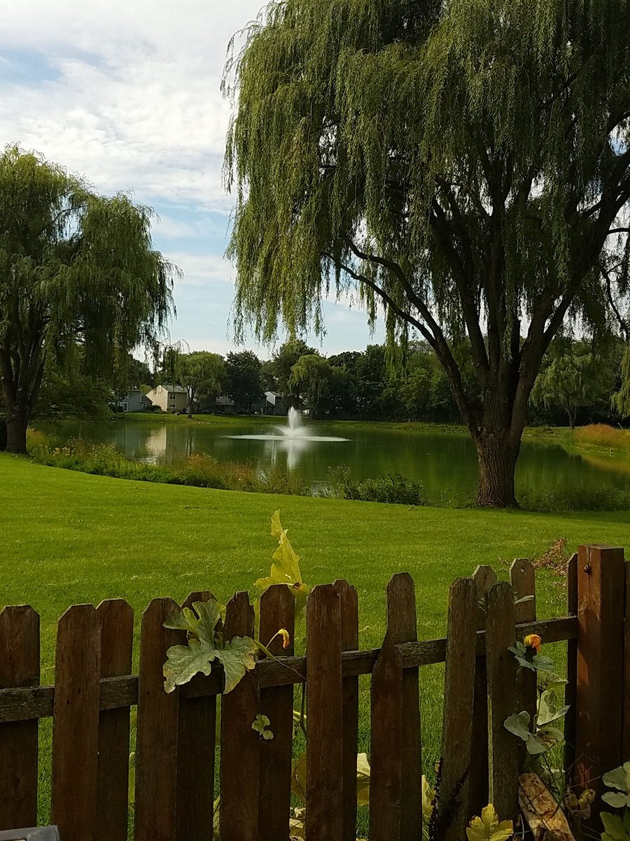princesslizzyCB's tweet photo. The view from my deck, where I am currently chillin on cam. https://t.co/yisT7fDsjS