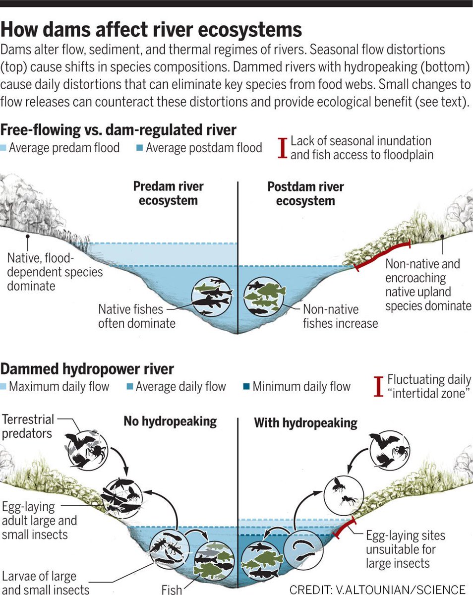 ScienceMagazine's tweet photo. How dams can go with the flow ($): https://t.co/Qj0Jr1XiG4 https://t.co/Jz29a4ty7p