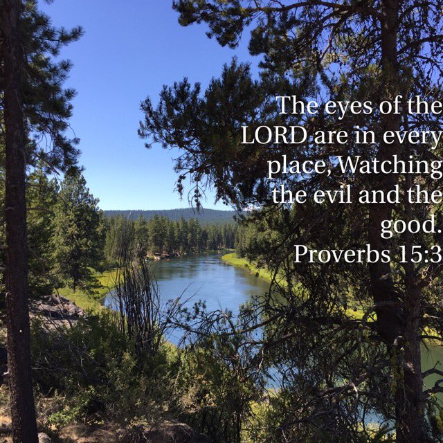 LiveInFreedom's tweet photo. Nothing is hidden, & that's a good thing. #GoodLife #ProvADay #trustworthy #good #trusting https://t.co/Spa6lwHTmy