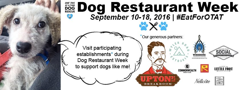 onetailatatime's tweet photo. #EatForOTAT at participating restaurants this week. A portion of your bill supports our efforts to SAVE. MORE. DOGS. https://t.co/fmwDEnpmyw