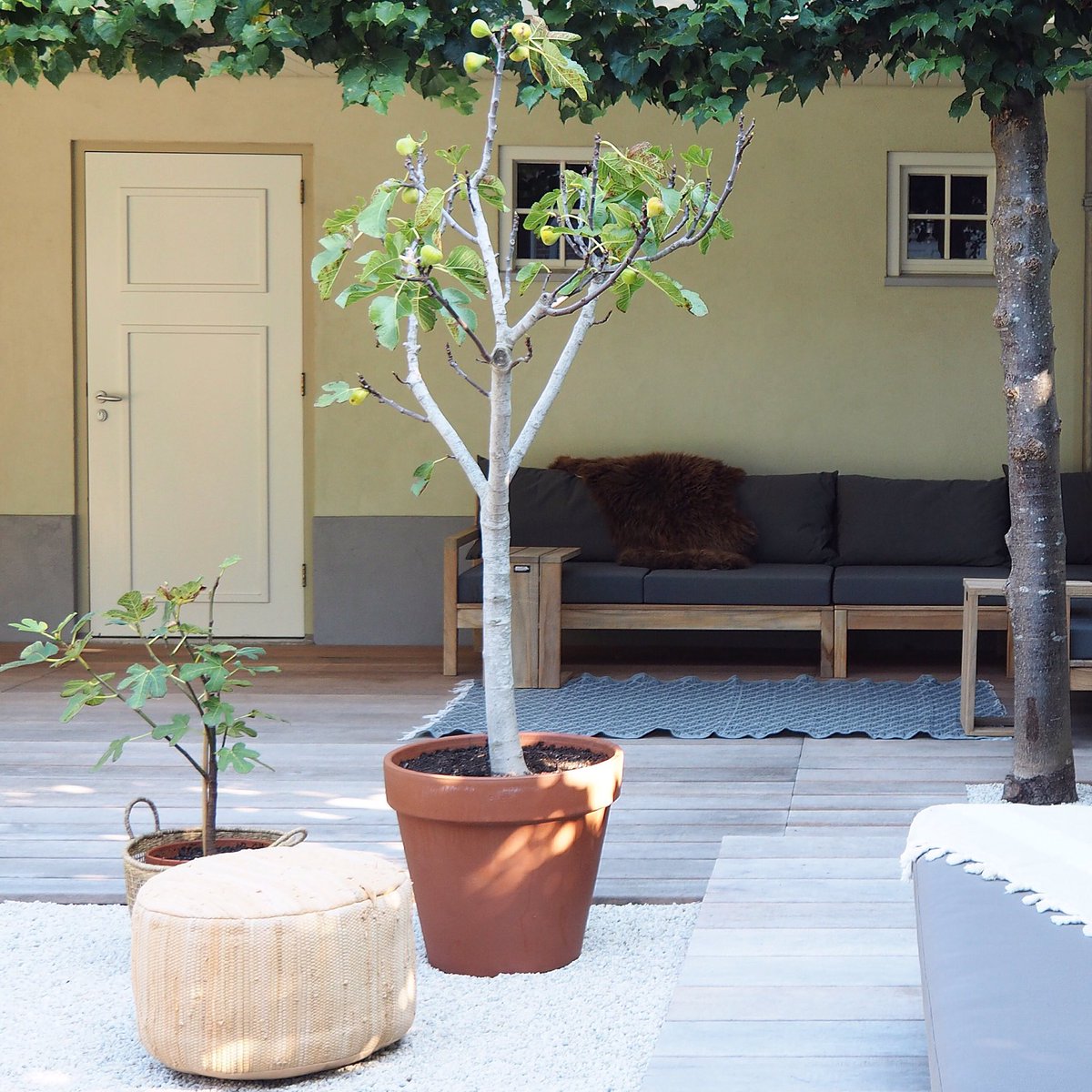 Soon blog on our site about a #garden #styling project!