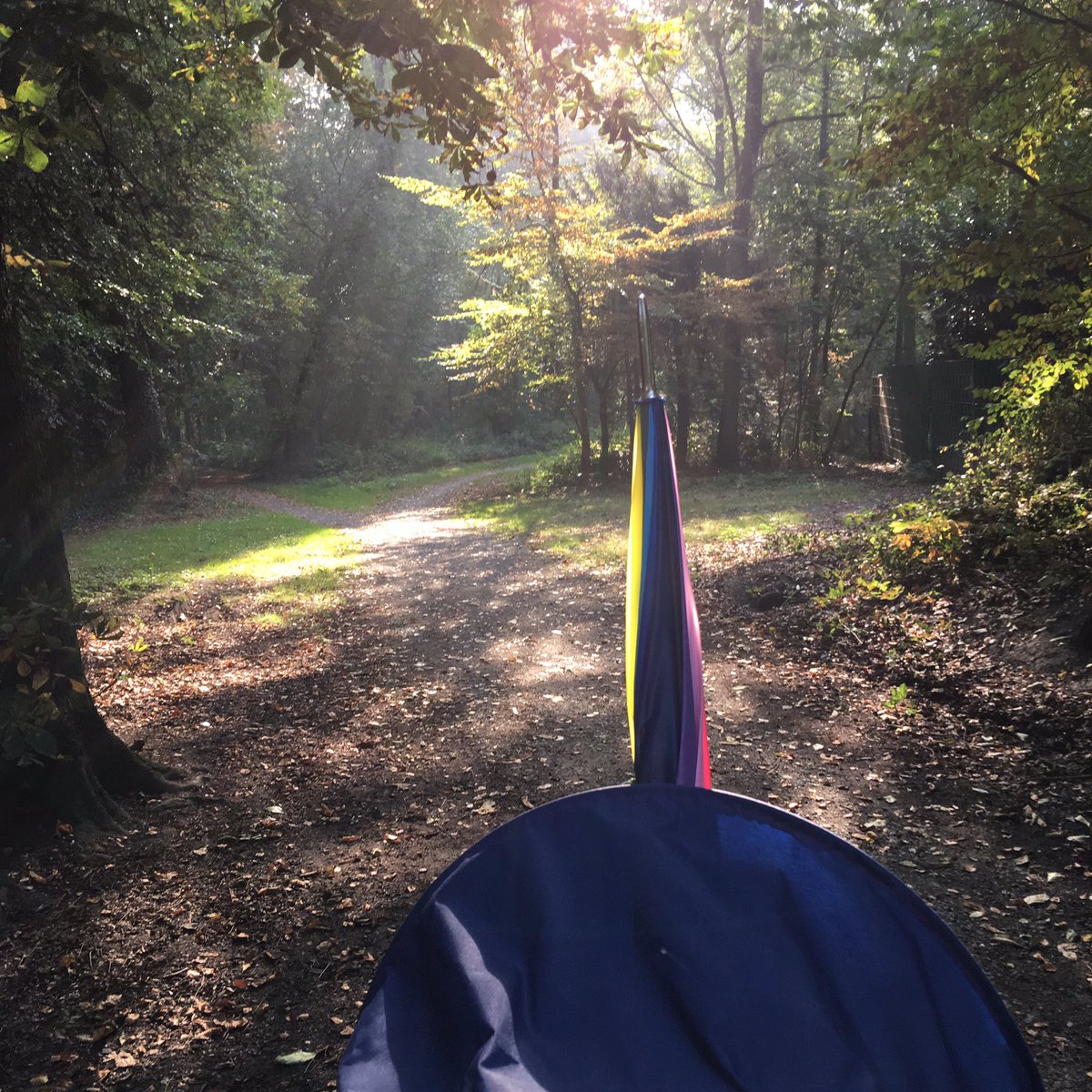 steffiskinder's tweet photo. Mit den Kindern und dem tollen Wagen unterwegs im Cappenberger Wald ❤️ #tagesmutter #tageskinder #cappenberg https://t.co/3PZqXGkIHn