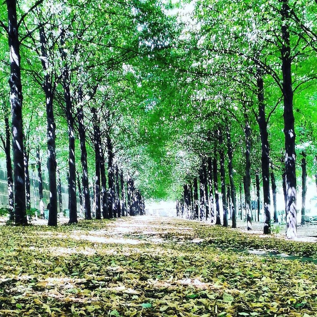 Parc de Bercy, #paris #france ift.tt/2ccnhME