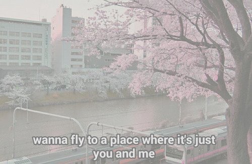 Catchin_Vibes's tweet image. 🌸🌸🌸