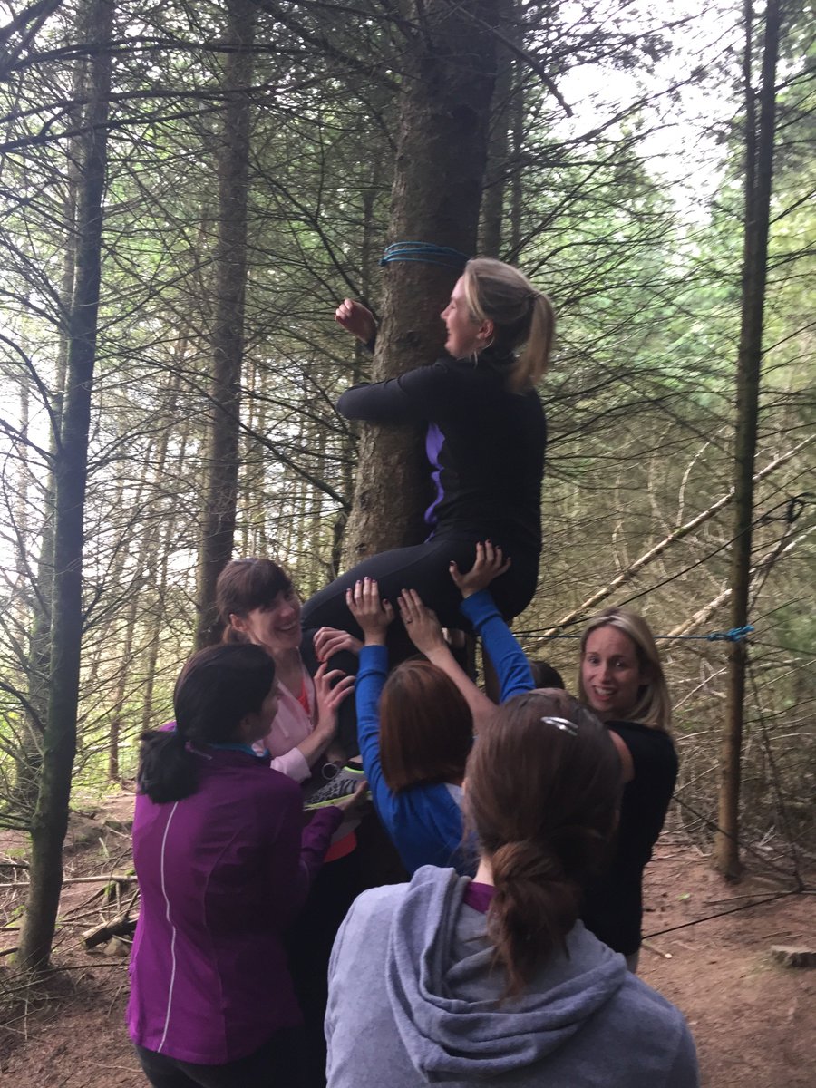 LoughcrewA's tweet photo. Trish and her hens were with us on Saturday before staying in @LoughcrewHouse. Unique twist on the spiders web! https://t.co/osNzYayso8