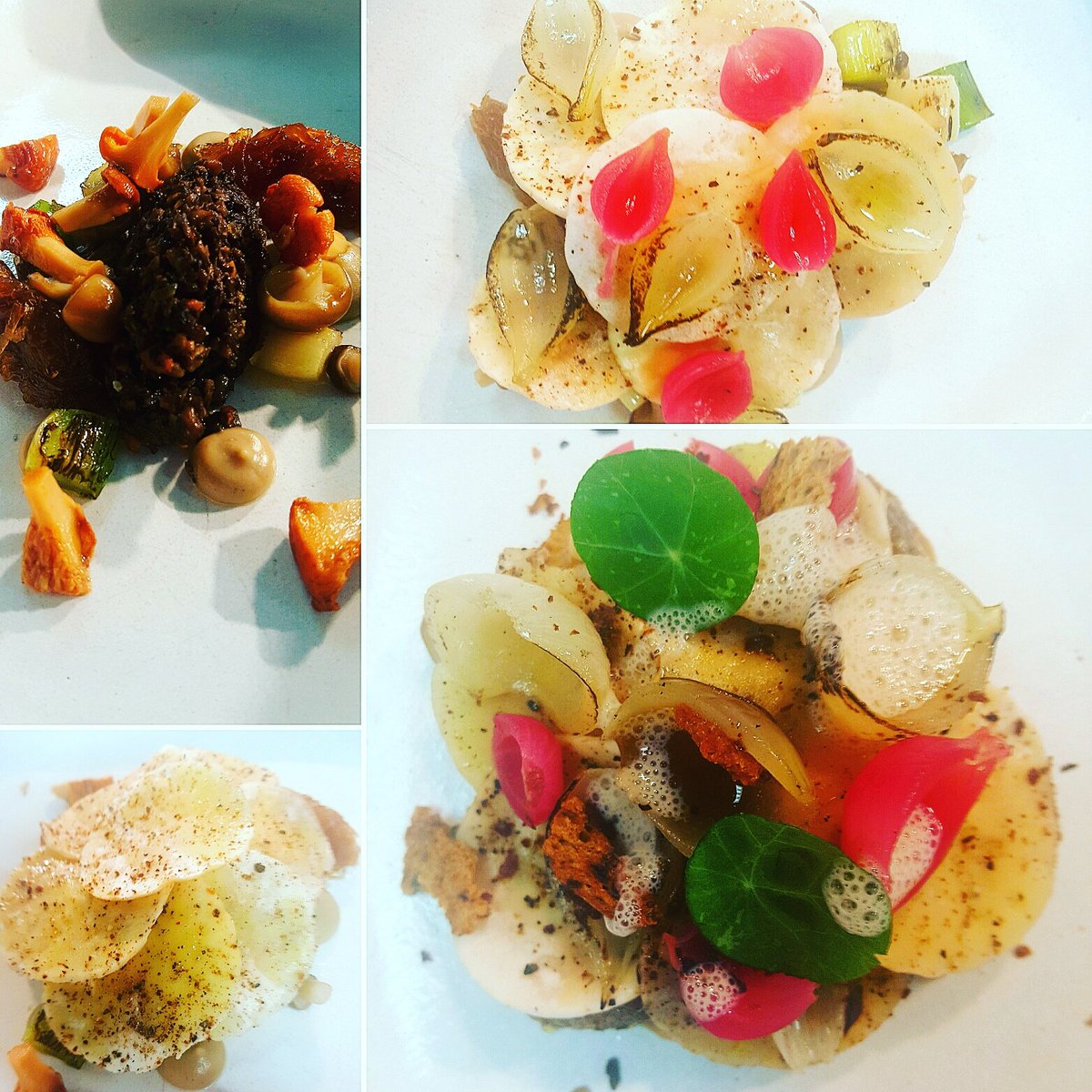 GothamChefs's tweet photo. Many many layers of burnt onion and mushroom @hotelgotham. 1000 elements courtesy of @stephenmoore110 #notevenajob https://t.co/Pe4EAmf8dm