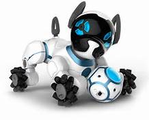 DigitalKidsCon's tweet image. @WowWeeWorld brought #Chipk9 @DigitalKids He debuts on stage this afternoon #family #interactive #evolve #playful