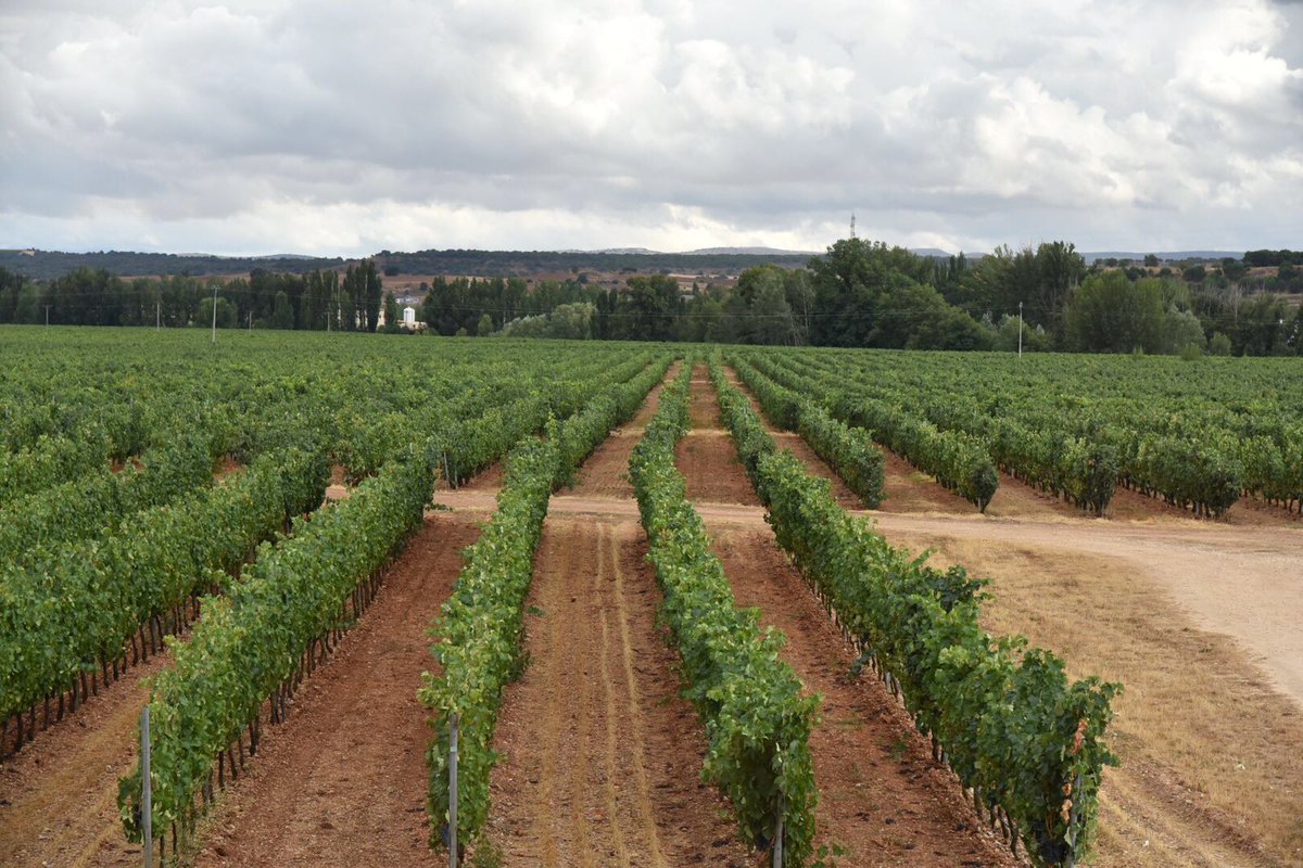 Tarde en <a href="/martinberdugo/">Martín Berdugo</a> con los periodistas holandeses que visitan la #DORibera