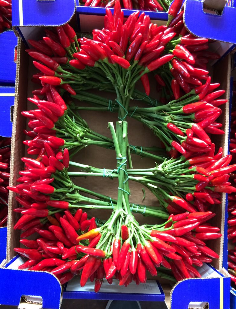 jennaoesch's tweet photo. Amazing vegetables in Italy! https://t.co/EMmvnmA23y